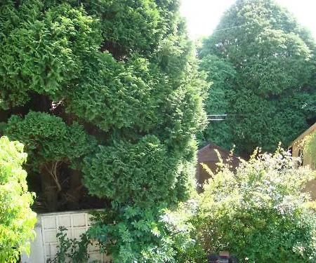 Brookville House Pensión