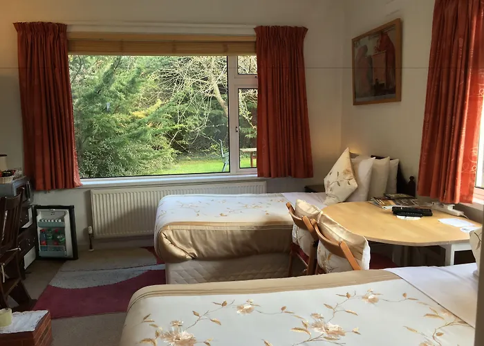 ゲストハウス Brookville House Monkstown (Dublin)