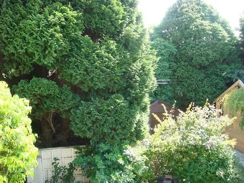 Brookville House ゲストハウス